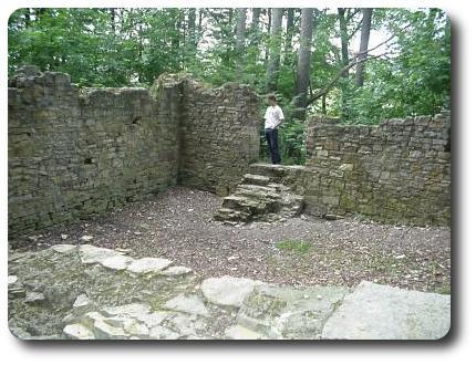 Bild der Burgruine innen