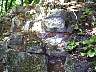 mauerrest07.jpg